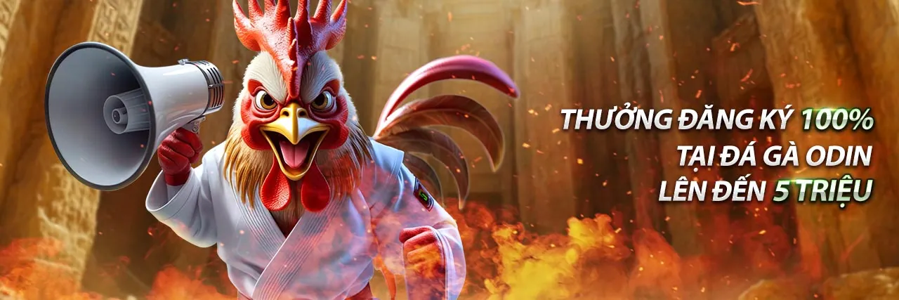 Giao diện ứng dụng do666 trên điện thoại di động, minh họa cá cược thể thao di động